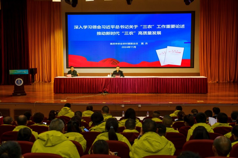 20241109 095247(1).jpg